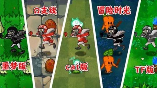 橄榄球僵尸图片,异域战场上的生死较量 第2张 橄榄球僵尸图片,异域战场上的生死较量 第2张