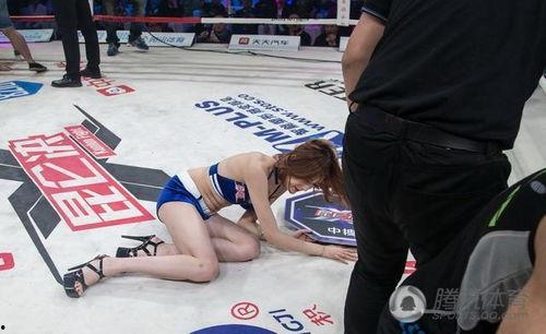 昆仑决安琪资料