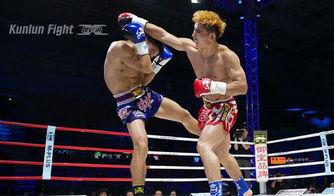 昆仑决安琪资料 第2张 昆仑决安琪资料 第2张