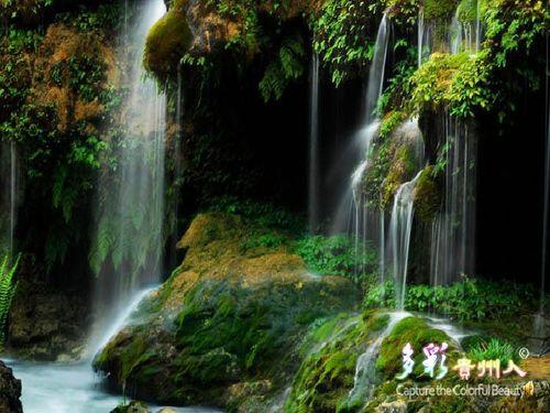 泉水的资料  第1张